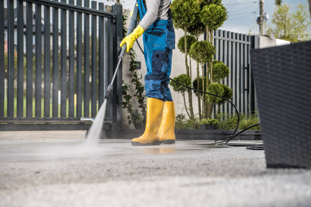Best House Exterior Washing  in Newton, MA